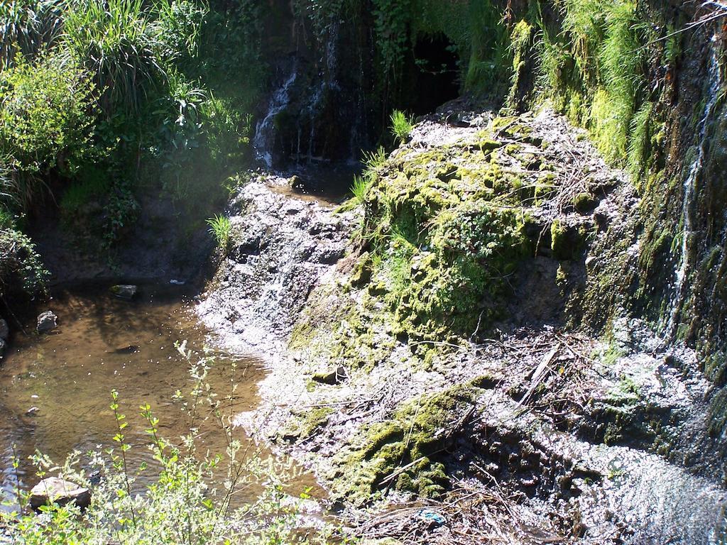Hostellerie Restaurant Les Gorges De L'Aveyron Bruniquel المظهر الخارجي الصورة